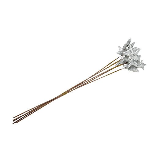 Floristik24 Stelle sull'asta argento 60 cm 5 pezzi.