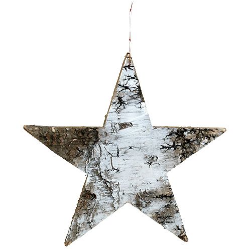 Floristik24 Stelle fatte di corteccia di betulla bianco 29cm 3 pezzi