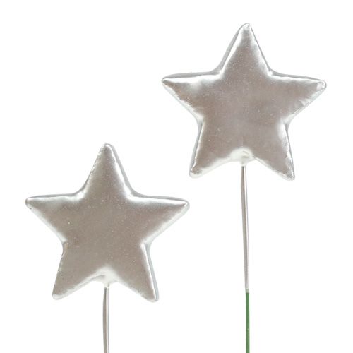 Floristik24 Stelle su filo argento 5cm L23cm 48 pz