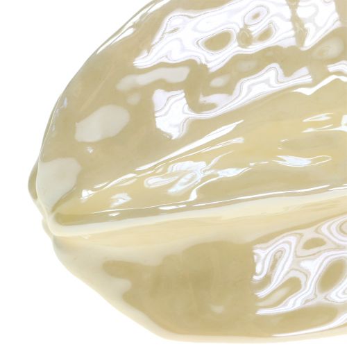 Prodotto Stella di frutta in ceramica 14 cm