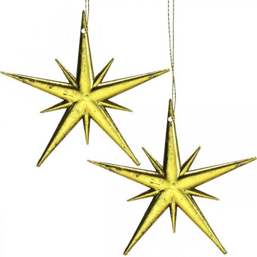 Floristik24 Ciondolo stella decorazione natalizia dorata L11,5 cm 16 pezzi