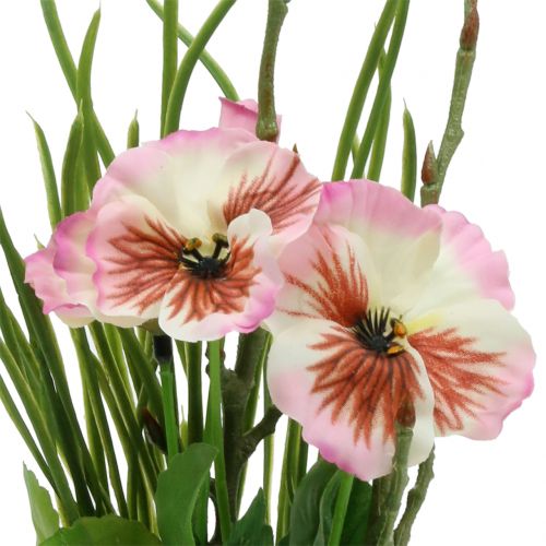 Floristik24 Viola del pensiero con palla di muschio rosa 31cm