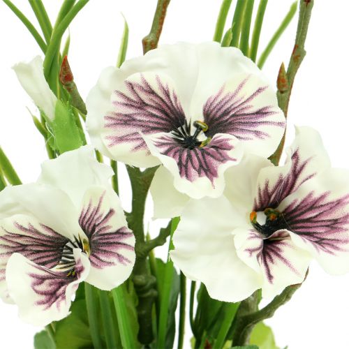Floristik24 Viola del pensiero con palla di muschio bianca 31 cm