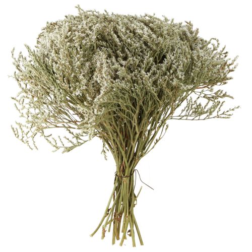 Prodotto Lavanda di mare Statice Tatarica fiori secchi naturali 2 kg