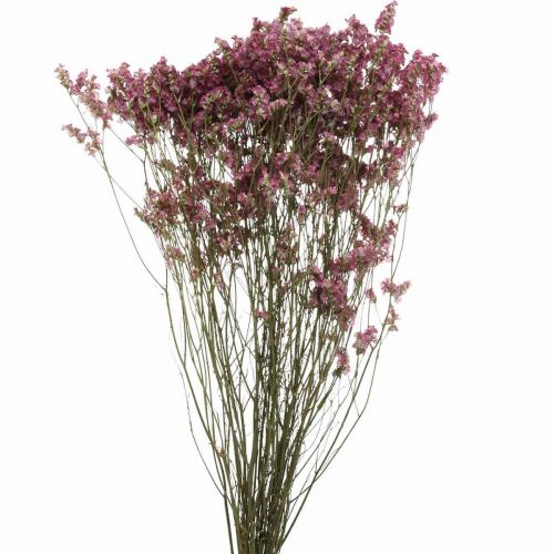 Prodotto Statice, lavanda marina, fiori secchi, mazzo di fiori di campo rosa L52cm 23g