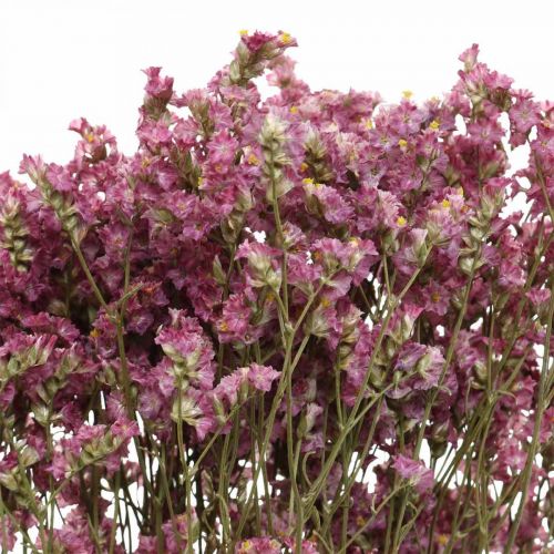 Floristik24 Statice, lavanda marina, fiori secchi, mazzo di fiori di campo rosa L52cm 23g