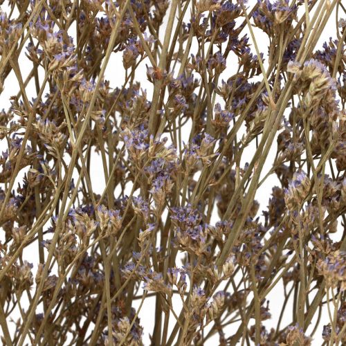 Prodotto Fiori secchi di limonio lilla da spiaggia viola 70 cm 50 g