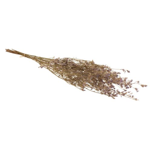 Prodotto Fiori secchi di limonio lilla da spiaggia viola 70 cm 50 g