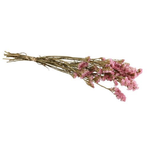 Floristik24 Fiori secchi di limonio rosa lilla da spiaggia 60 cm 50 g