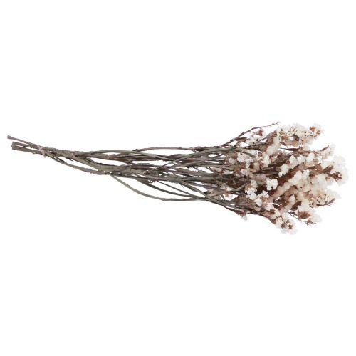 Floristik24 Fiori secchi di limonio bianco lilla da spiaggia 60 cm 35 g