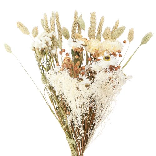 Prodotto Bouquet di fiori secchi fiori di paglia grano bianco 55 cm
