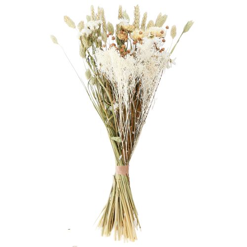 Prodotto Bouquet di fiori secchi fiori di paglia grano bianco 55 cm