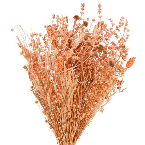 Prodotto Bouquet di fiori secchi bouquet secco di albicocca arancione 45 cm 80 g