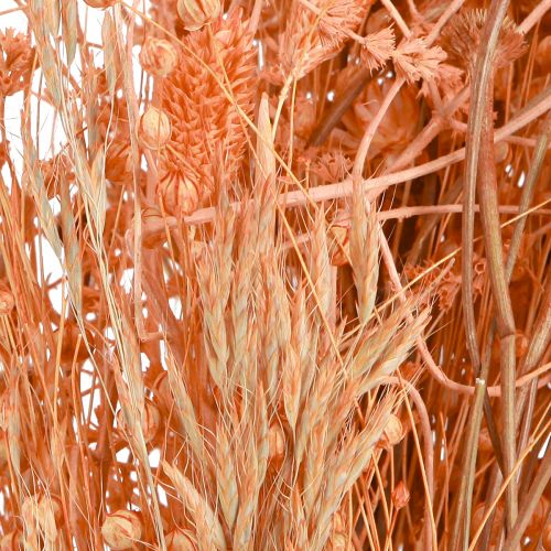 Prodotto Bouquet di fiori secchi bouquet secco di albicocca arancione 45 cm 80 g