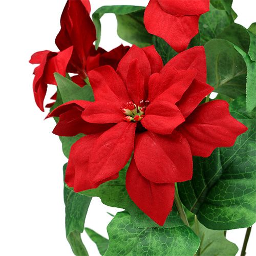 Prodotto Bouquet Poinsettia Rosso L47cm