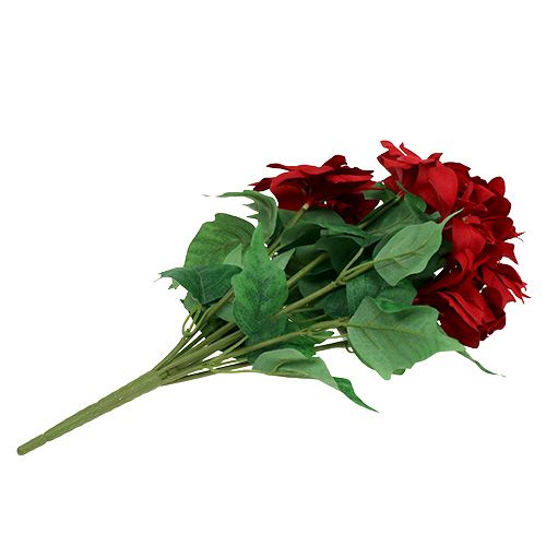Prodotto Bouquet Poinsettia Rosso L47cm