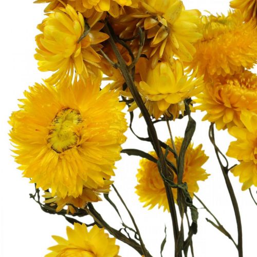 Floristik24 Fiori secchi Fiori di paglia gialli Elicriso Decorazione secca Mazzo 50 cm 45 g