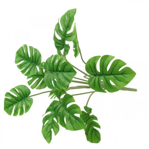 Floristik24 Bouquet Monstera artificiale vincolante pianta artificiale verde 42cm
