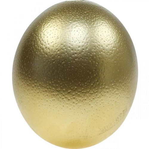 Prodotto Decorazione uovo di struzzo soffiato Decorazione pasquale oro Ø12cm H14cm