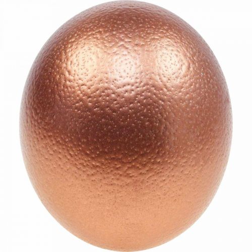 Decorazione uovo di struzzo soffiato decorazione pasquale rame Ø12cm H14cm