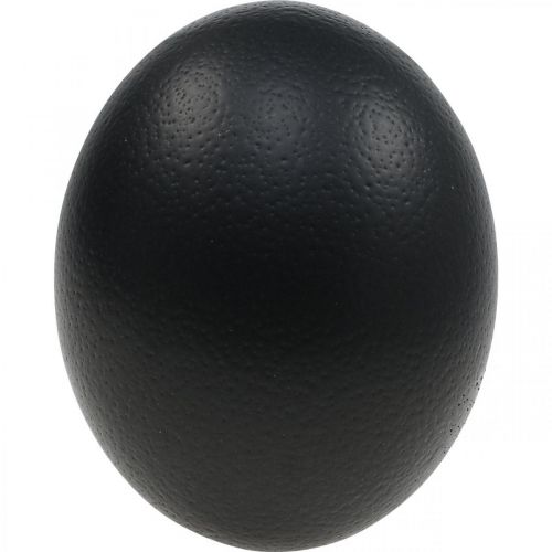 Decorazione uovo di struzzo Decorazione pasquale soffiata Nero Ø12cm H14cm