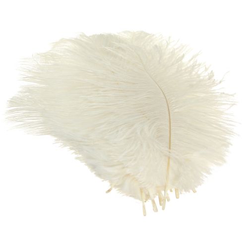 Prodotto Squisita piuma decorativa bianca crema piuma di struzzo bianca 20-25 cm 12 pezzi.