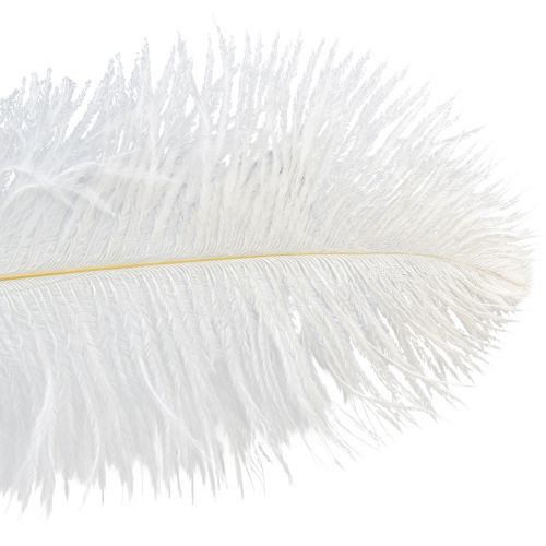 Prodotto Piume di struzzo Decorazione esotica Piume bianche 32-35 cm 4 pz