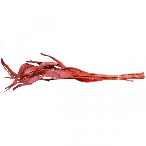 Floristik24 Strelitzia lascia floristica secca rossa satinata 45-80 cm 10 pezzi