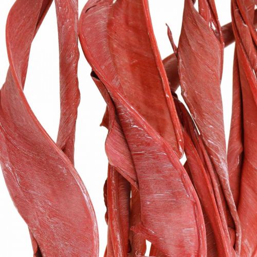 Floristik24 Strelitzia lascia floristica secca rossa satinata 45-80 cm 10 pezzi