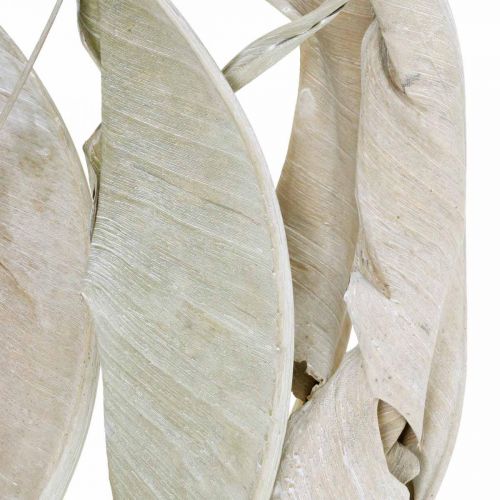 Floristik24 Strelitzia foglie bianche lavate essiccate 45-80 cm 10 pz