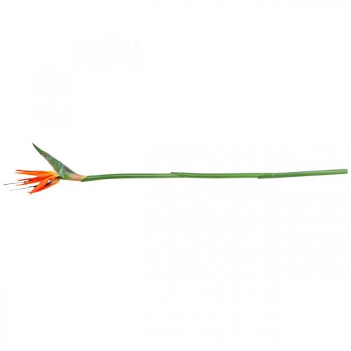Floristik24 Strelizie reginae fiore artificiale arancio uccello del paradiso L85cm