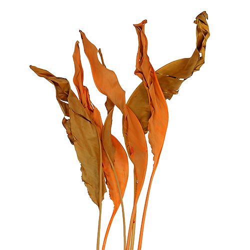 Strelitzia Leaves Orange 120cm 20pcs