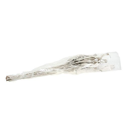 Floristik24 Foglie decorative Foglie di Strelitzia bianche lavate 120 cm 10 pz