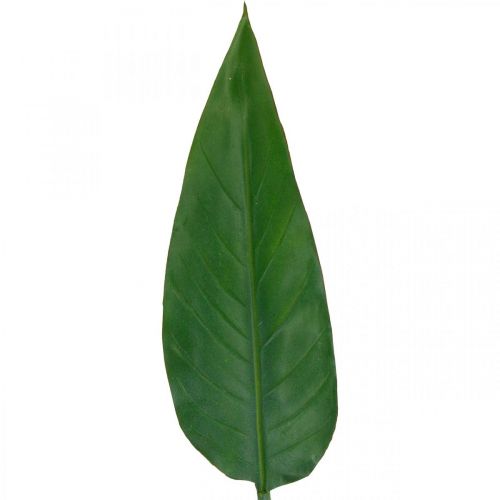 Floristik24 Strelitzia Pappagallo Fiore Decorativo Foglia Strelitzia Foglia Verde L81cm