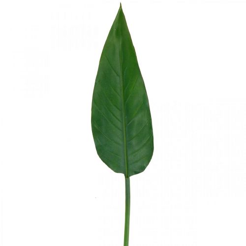 Floristik24 Strelitzia Pappagallo Fiore Decorativo Foglia Strelitzia Foglia Verde L81cm