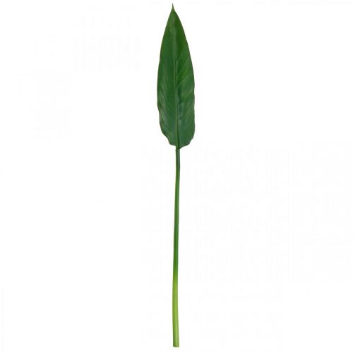 Floristik24 Strelitzia Pappagallo Fiore Decorativo Foglia Strelitzia Foglia Verde L81cm