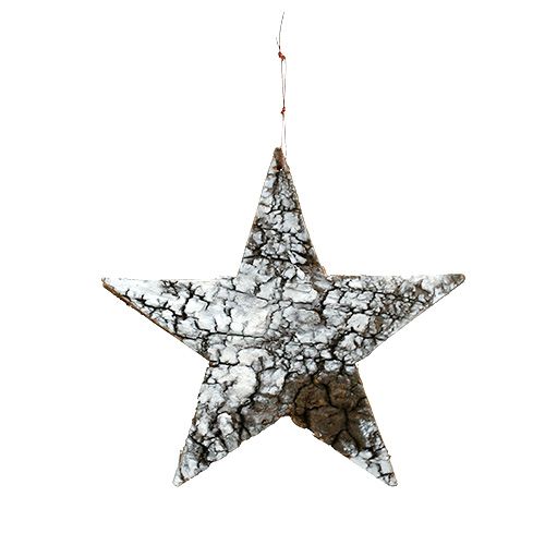 Floristik24 Stella di corteccia di betulla grande bianca 19 cm 4 pezzi