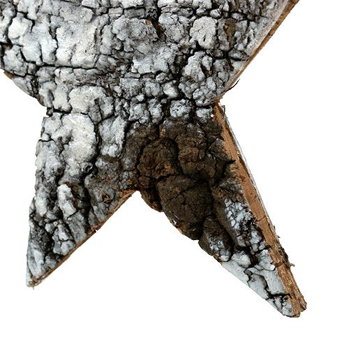 Floristik24 Stella di corteccia di betulla grande bianca 19 cm 4 pezzi