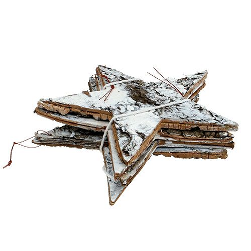 Floristik24 Stella di corteccia di betulla grande bianca 19 cm 4 pezzi