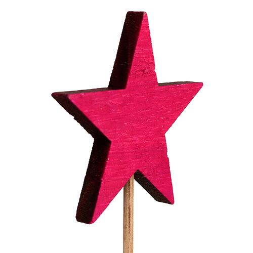 Floristik24 Stelle fucsia come spina 7cm 12 pezzi