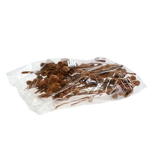 Prodotto Strictum 6 - 9 teste 25 pz