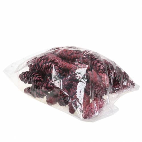 Prodotto Coni Strobus decoro naturale rosso 15cm - 20cm 50 pz