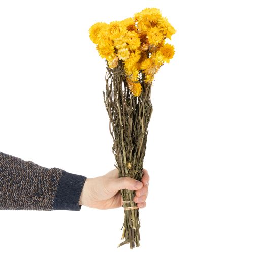 Prodotto Mazzo di fiori secchi di elicriso giallo (Helichrysum), 100 g