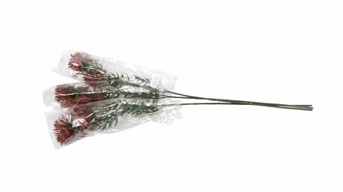Floristik24 Ramo di xanthium Bordeaux 69 cm 3 pezzi
