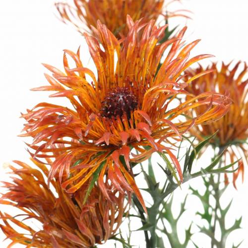 Floristik24 Ramo di Xanthium arancione 69 cm 3 pezzi
