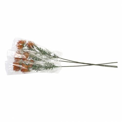 Floristik24 Ramo di Xanthium arancione 69 cm 3 pezzi