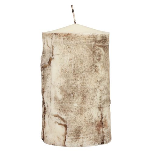 Candela a colonna candela corteccia d&#39;albero decoro betulla crema 140/80mm