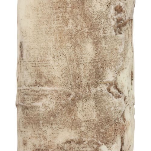 Floristik24 Candela a colonna candela corteccia d&#39;albero decoro betulla crema 140/80mm