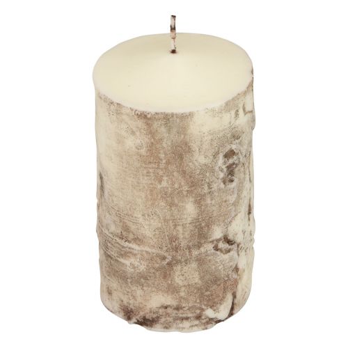 Floristik24 Candela a colonna candela corteccia d&#39;albero decoro betulla crema 140/80mm