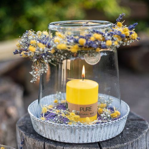 Floristik24 Candela a colonna giallo limone Candele Wenzel Candele PURE 90×70mm